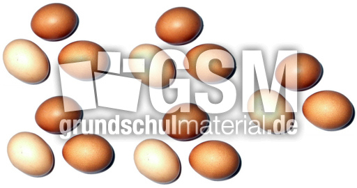 Eier-5x3.jpg